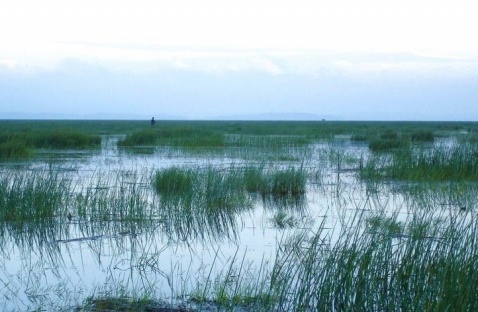 貴州草海國(guó)家級(jí)自然保護(hù)區(qū)
