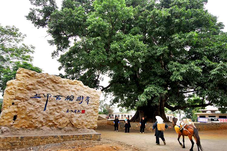 關(guān)嶺上甲布依古寨旅游景區(qū)