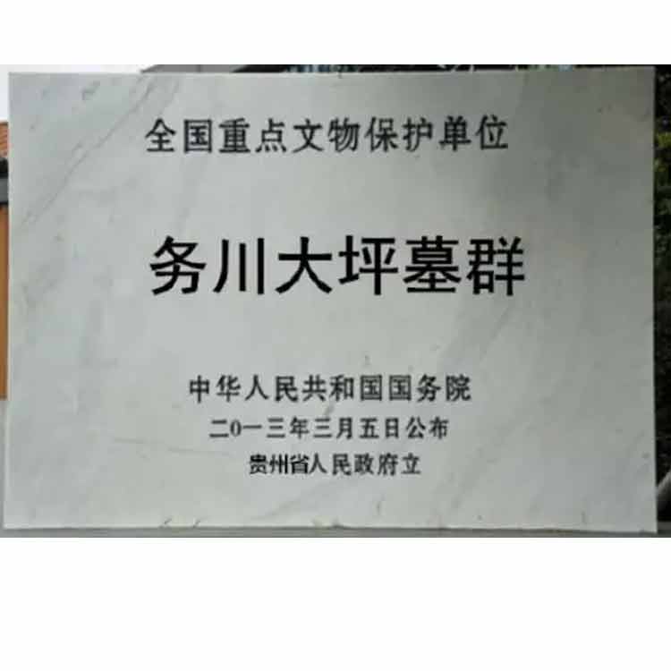 務(wù)川縣大坪漢墓群