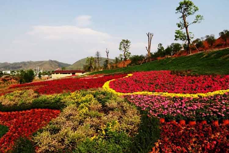 好花紅鄉(xiāng)村旅游國家AAAA級景區(qū)
