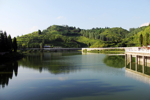 蓮湖公園