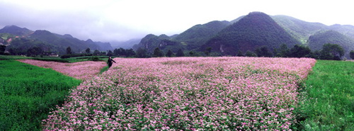 開(kāi)陽(yáng)十里畫(huà)廊